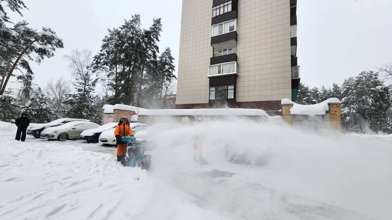 REGIONS/Анна Мороз