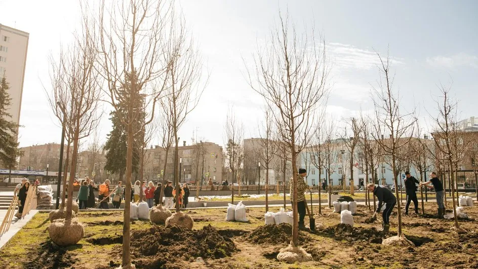 Фото: Министерство благоустройства МО