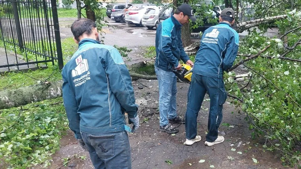 Фото: администрация г.о. Реутова