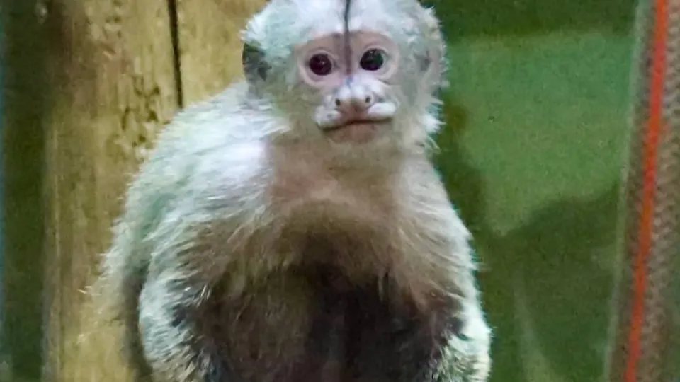 Фото: t.me/Moscowzoo_official