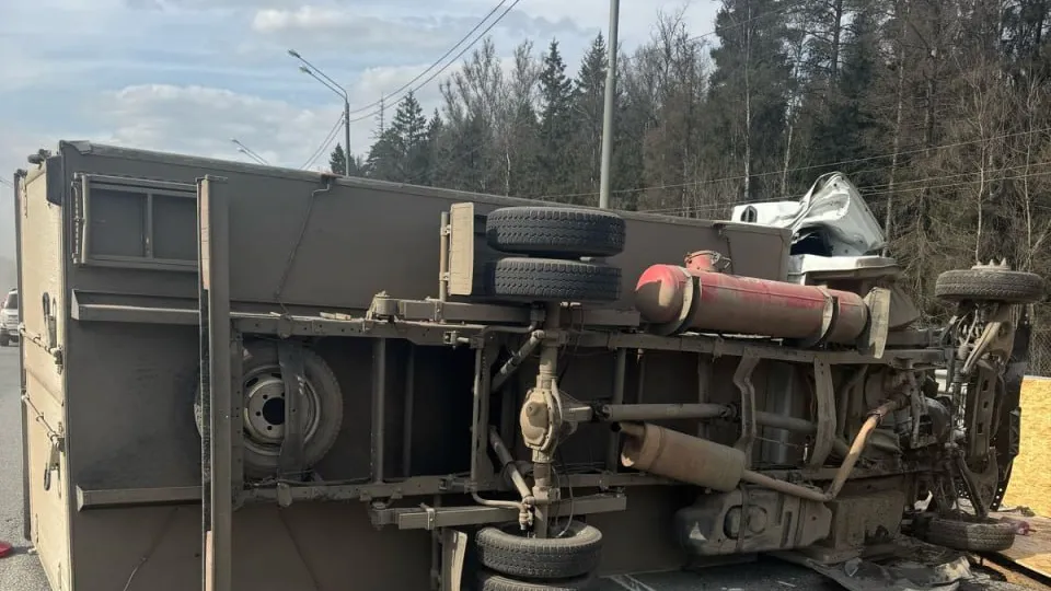 Фото: пресс-служба МВД Московской области