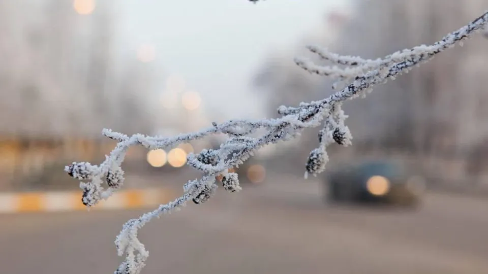 медиасток.рф