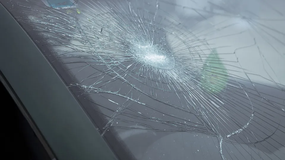 Фото: istockphoto.com/a_crotty