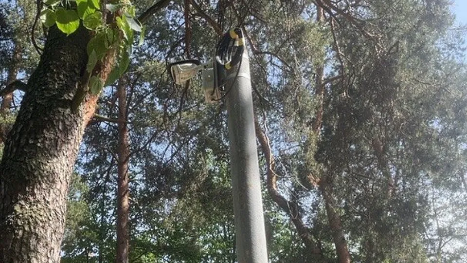 Фото: пресс-служба администрации Протвино