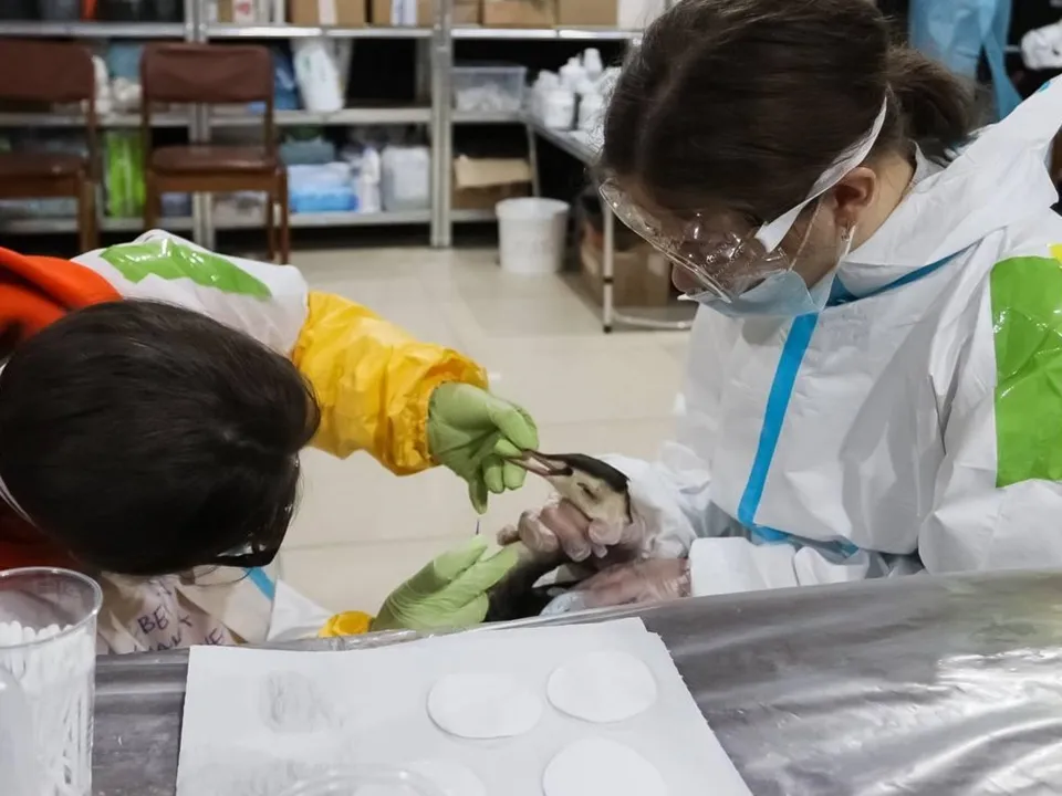 Фото: пресс-служба администрации г.о. Серпухов