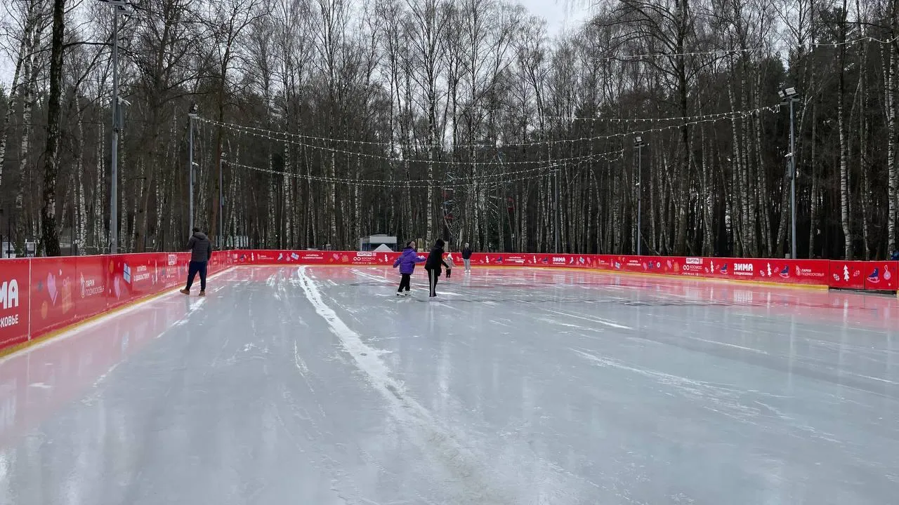 Фото: пресс-служба администрации г. о. Домодедово