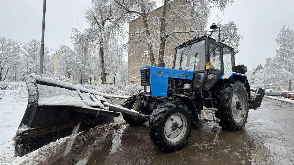 Фото: REGIONS/Татьяна Сташенко