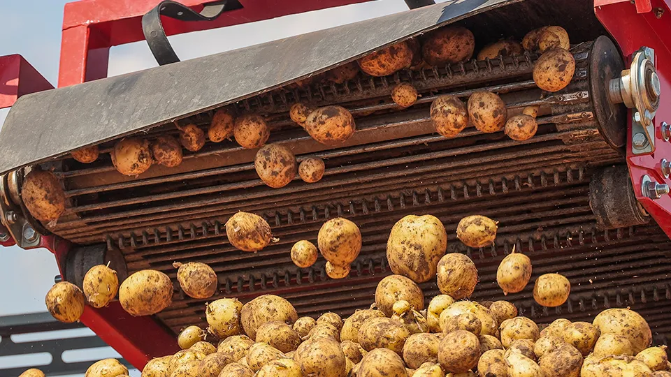 Фото: ТАСС/Дмитрий Рогулин