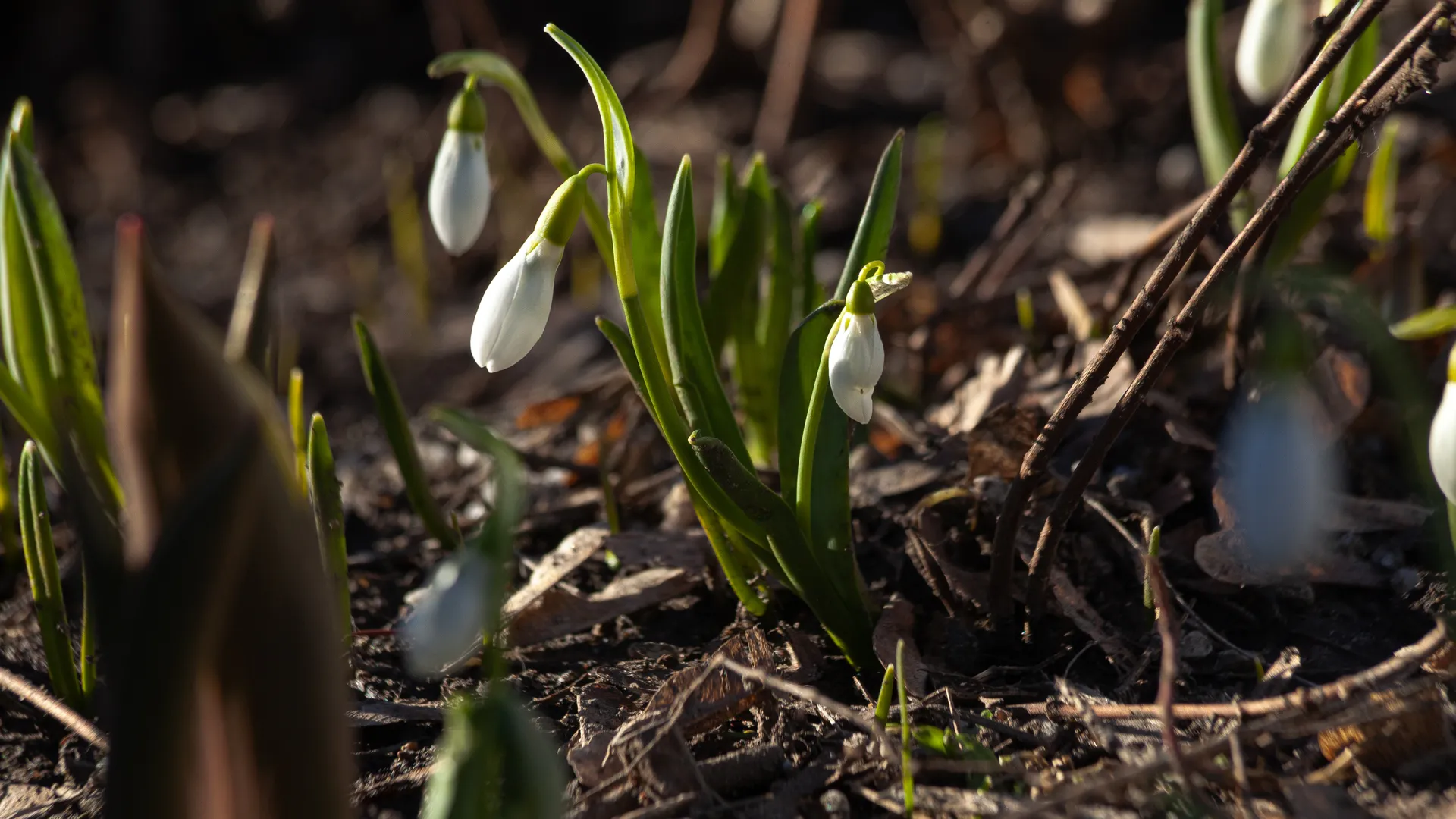 медиасток.рф