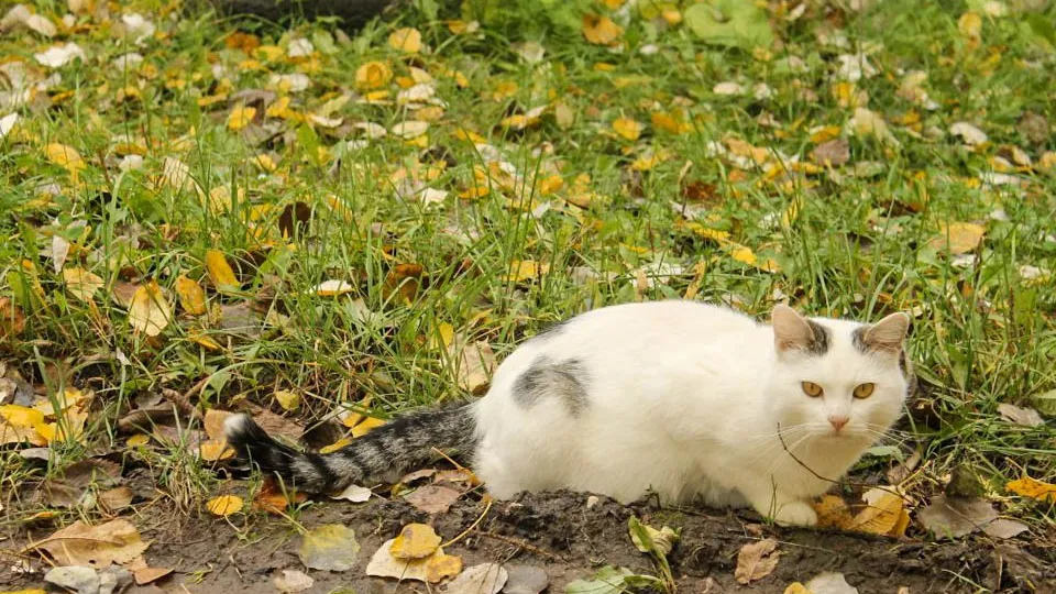 Фото: REGIONS/Эльвира Сафина