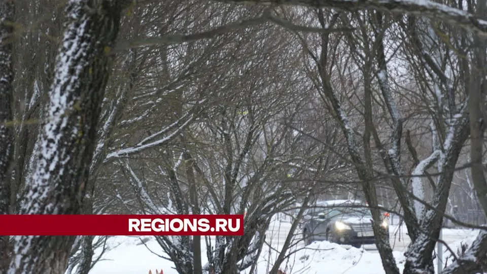 Фото: Дмитрий Зайчиков