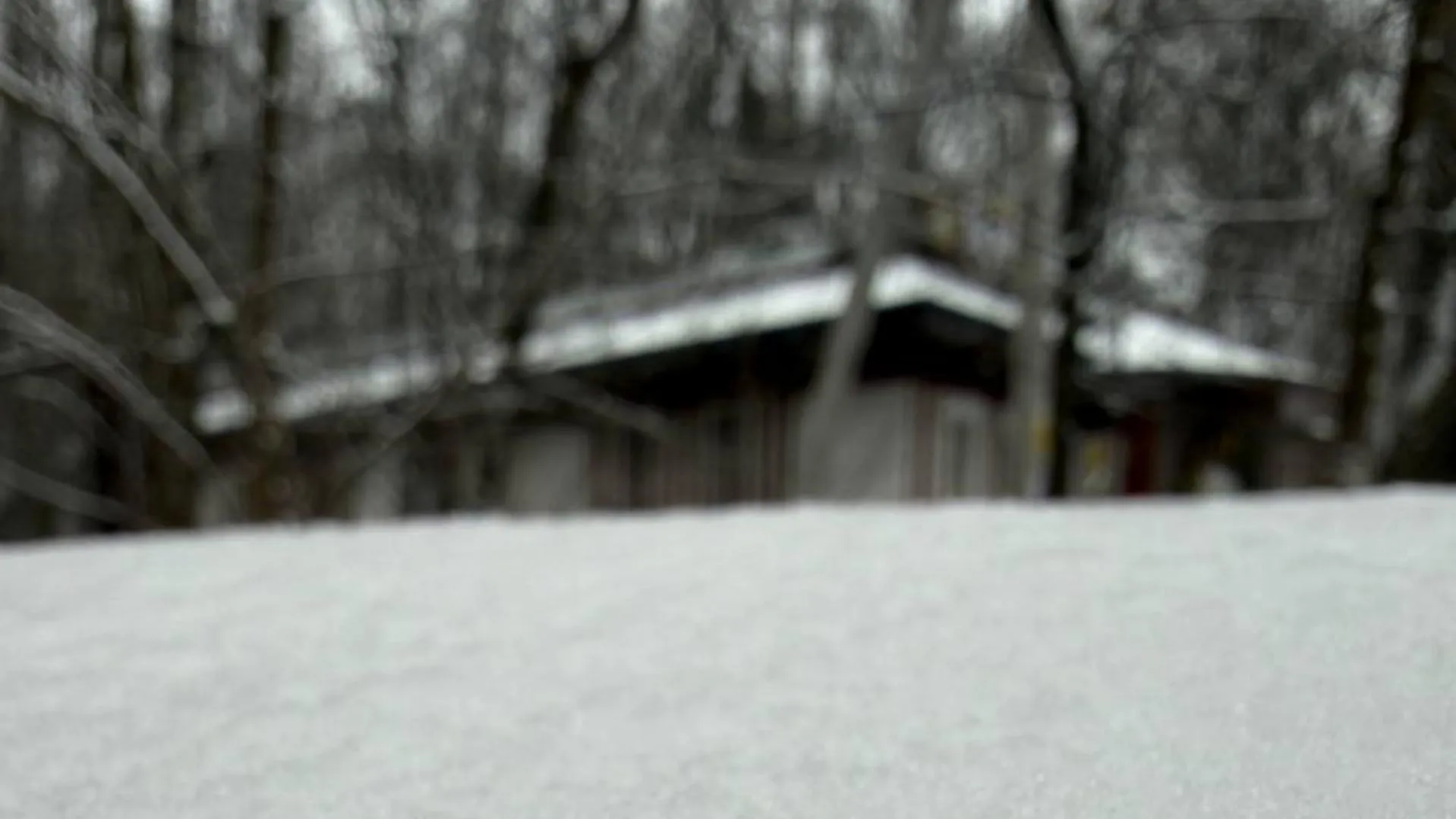 REGIONS/Елена Фурман