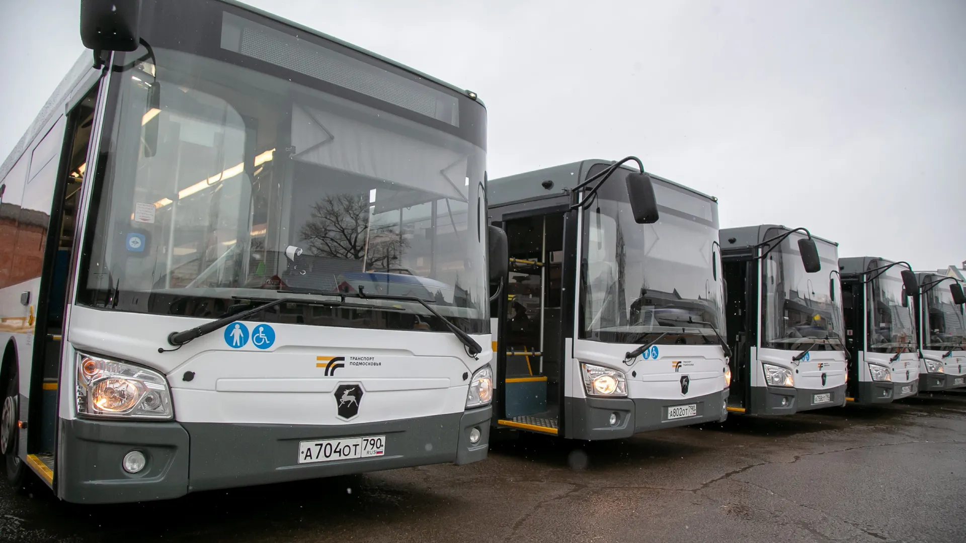 Фото: пресс-служба губернатора Московской области