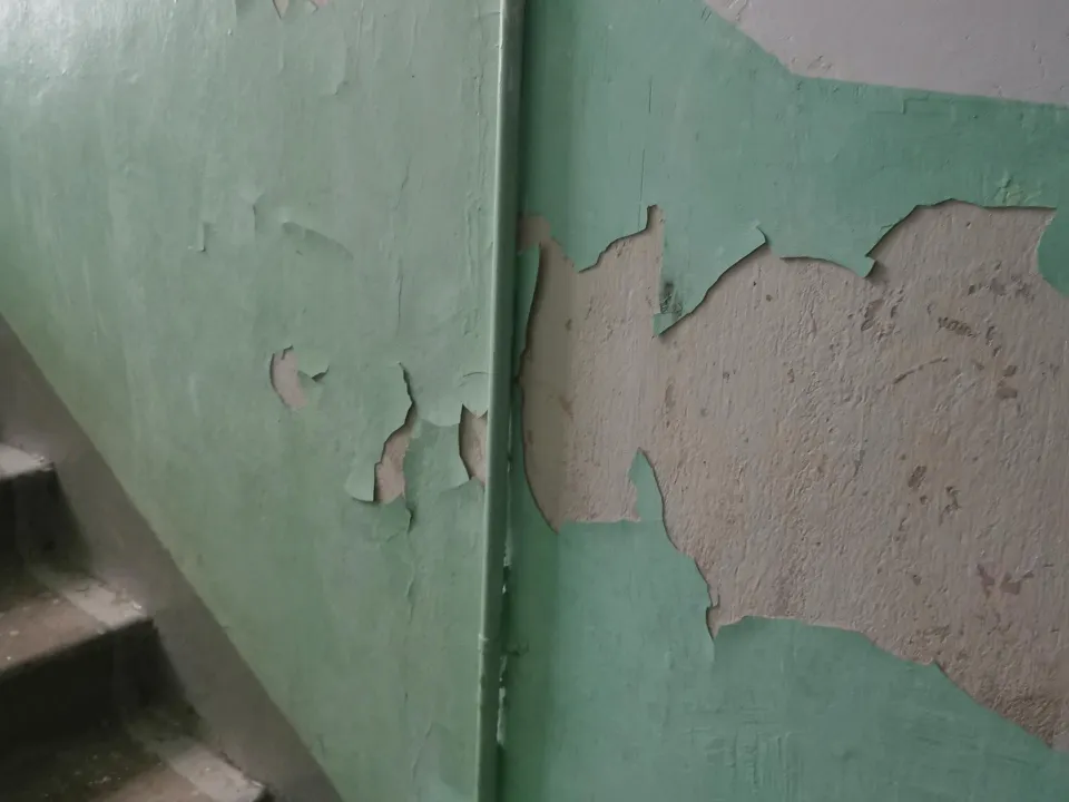 Фото: Елена Митина