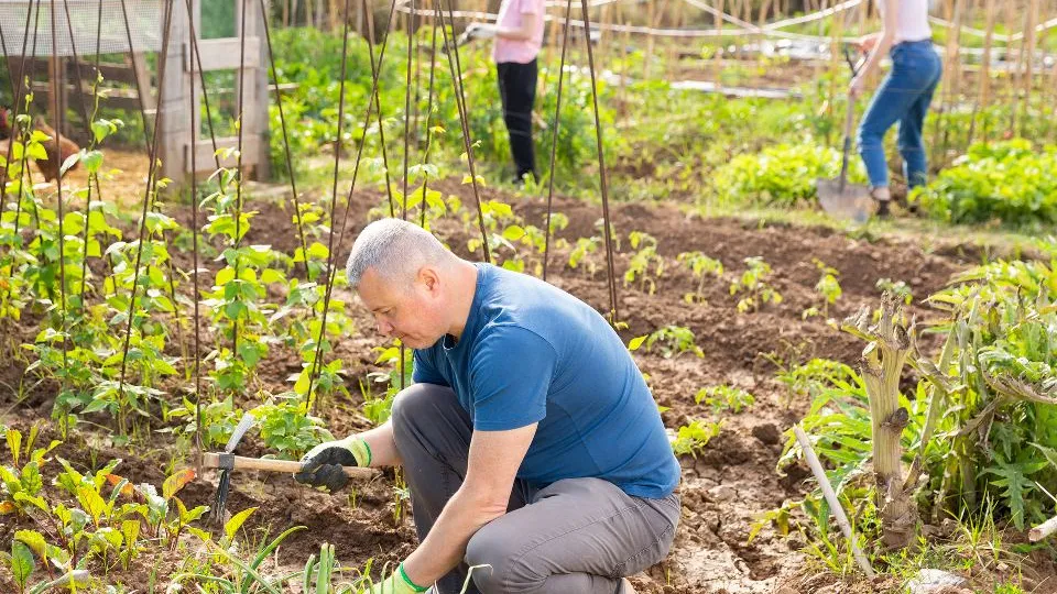 Фото: istockphoto.com
