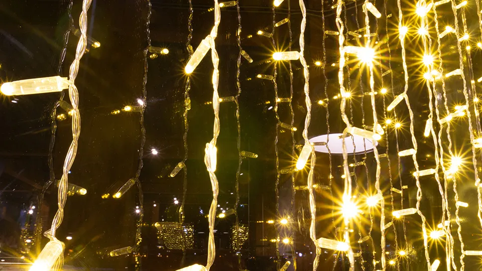 Фото: istockphoto.com/Vera Tikhonova