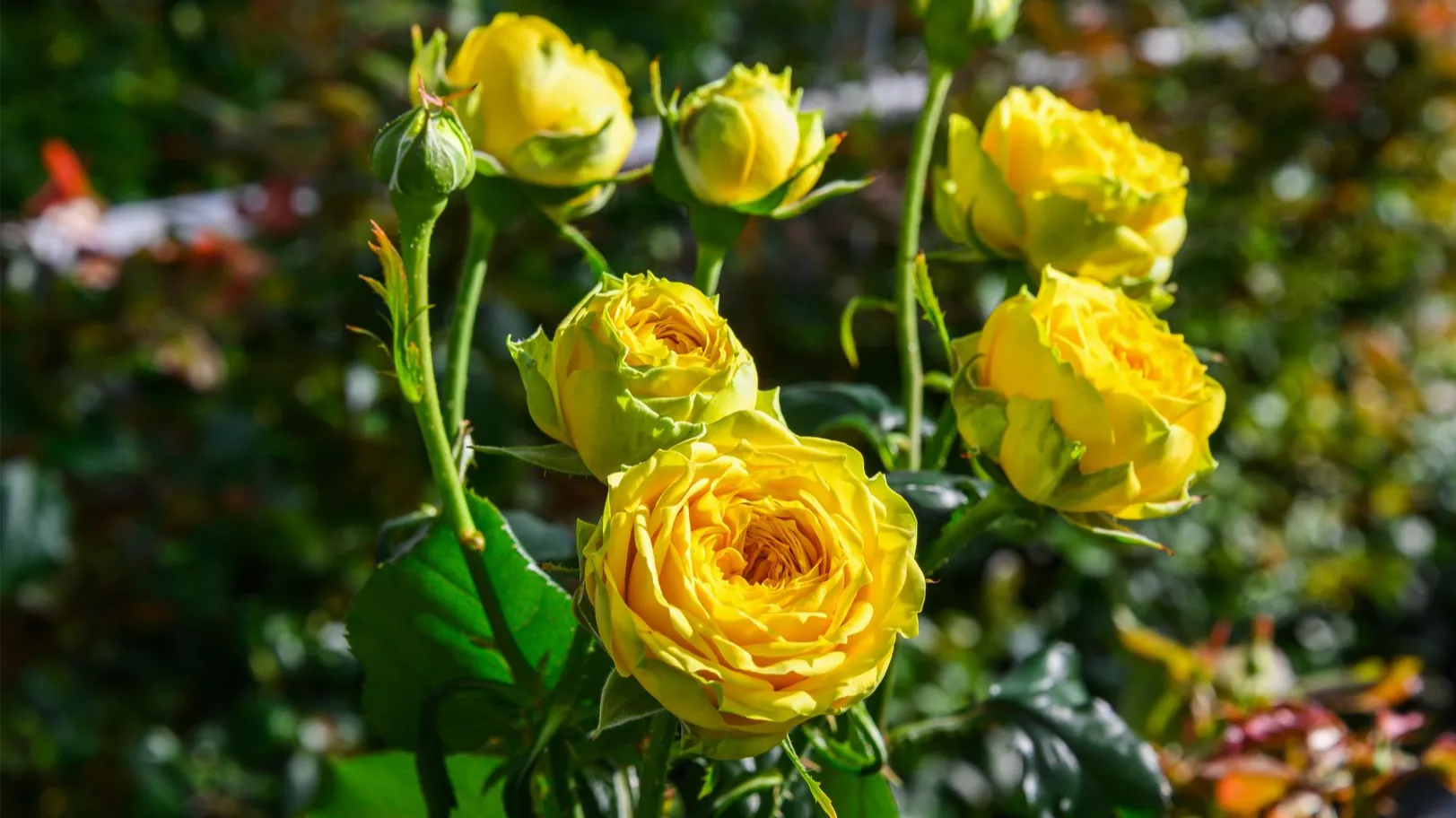 медиасток.рф