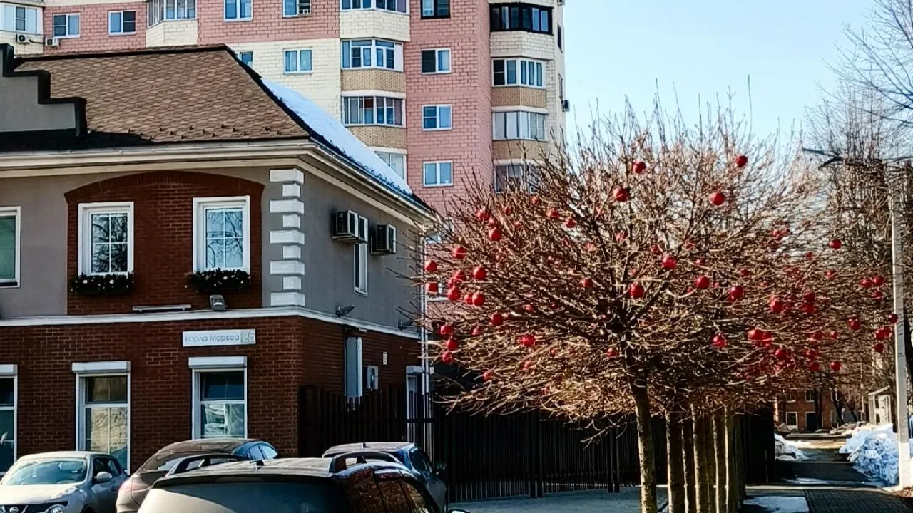 Наталья Лежнева