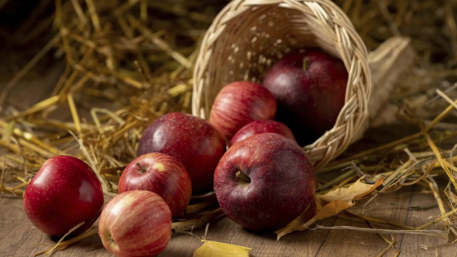 Фото: freepik.com