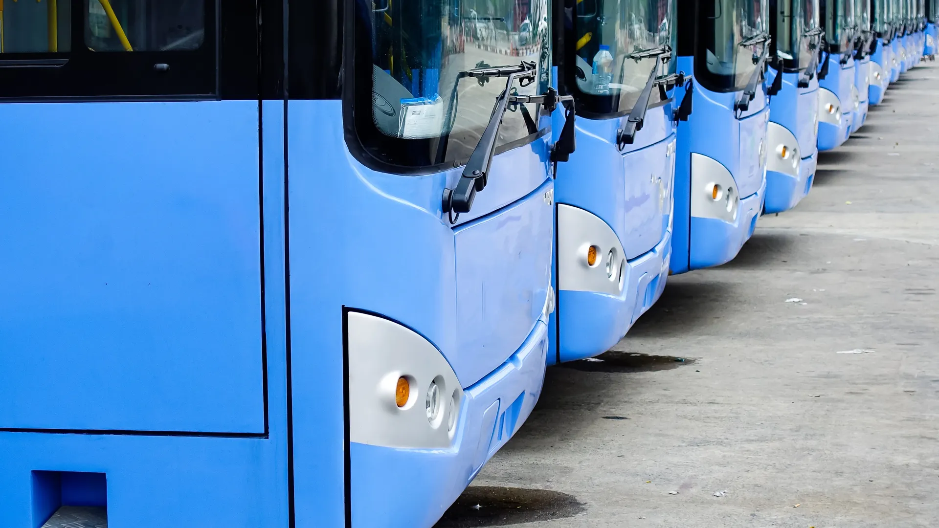 Фото: stock.adobe.com