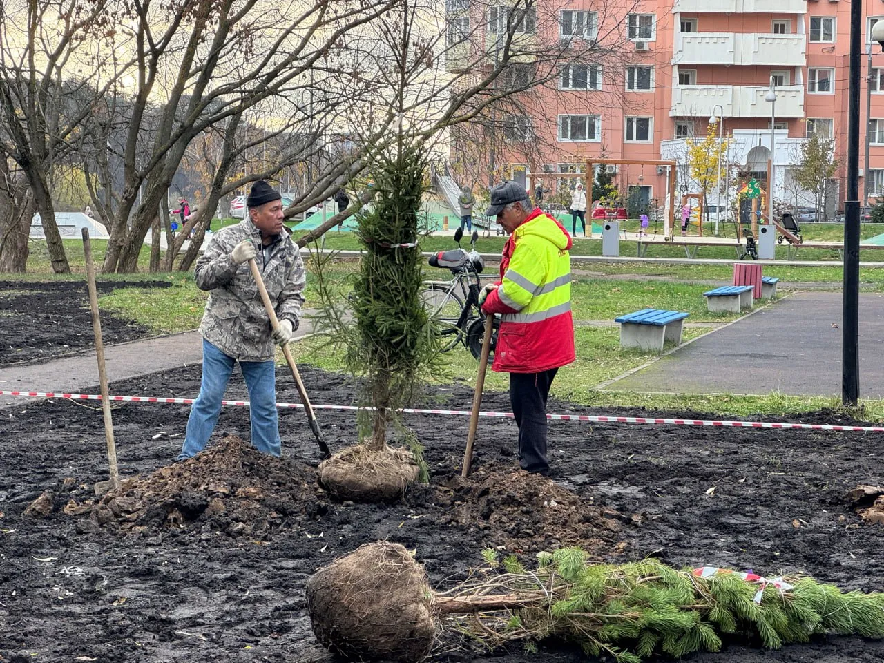 Фото: пресс-служба администрации г.о. Красногорск