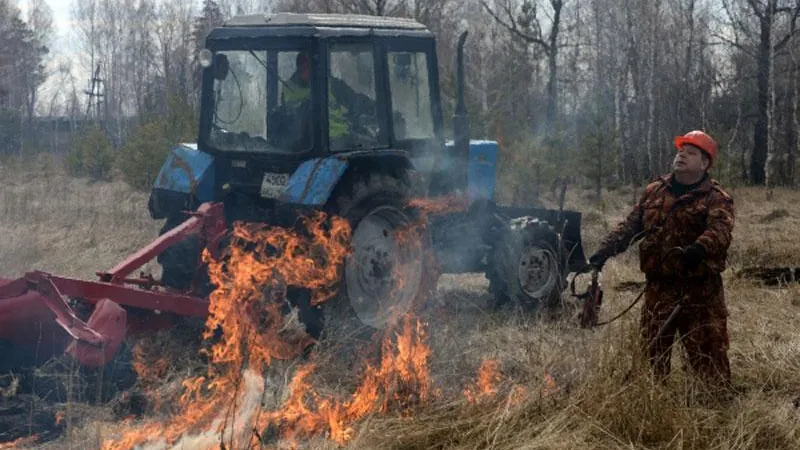 Желтый уровень пожарной опасности объявили в Подмосковье