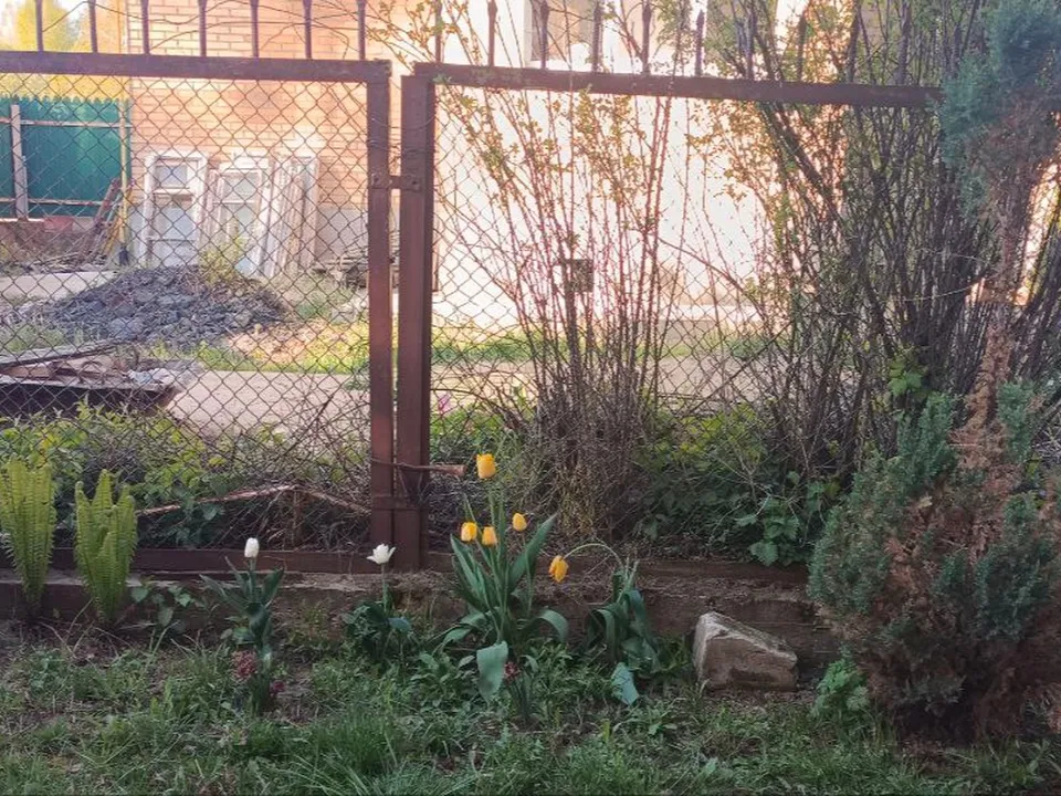 Фото: Надежда Чекалина