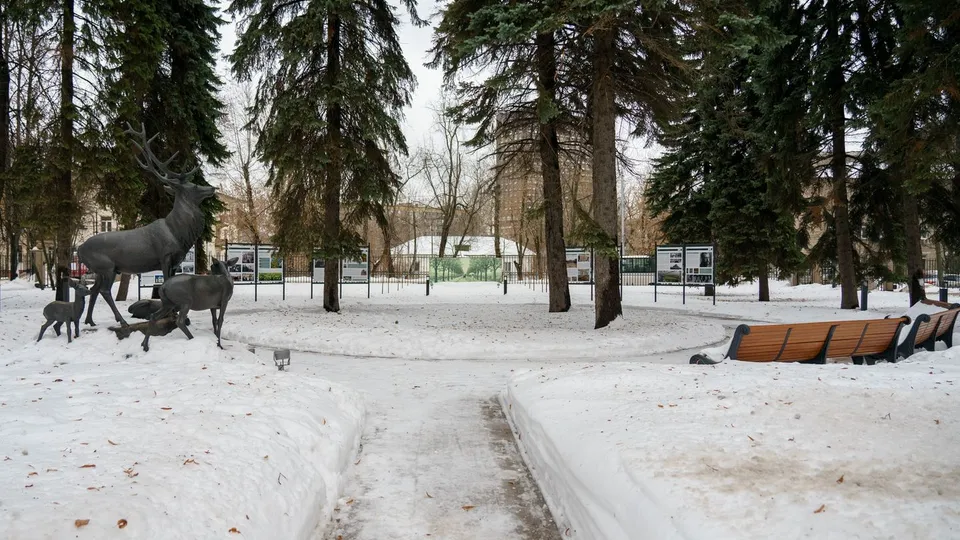 Фото: медиасток.рф