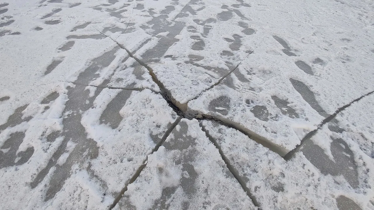 Фото: МедиаБанк Подмосковья