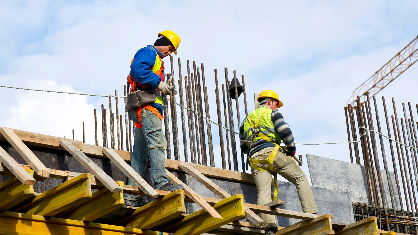 Фото: freepik.com