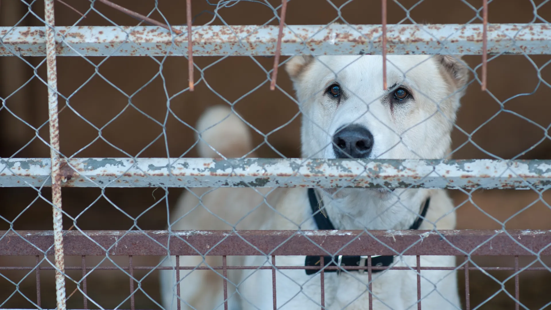 медиасток.рф