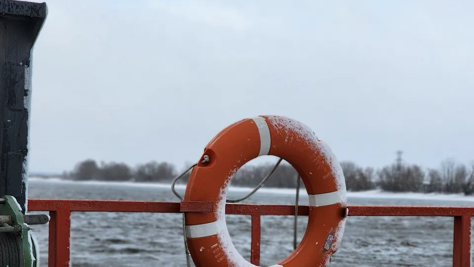 Фото: Медиабанк Подмосковья/Анна Шолохова