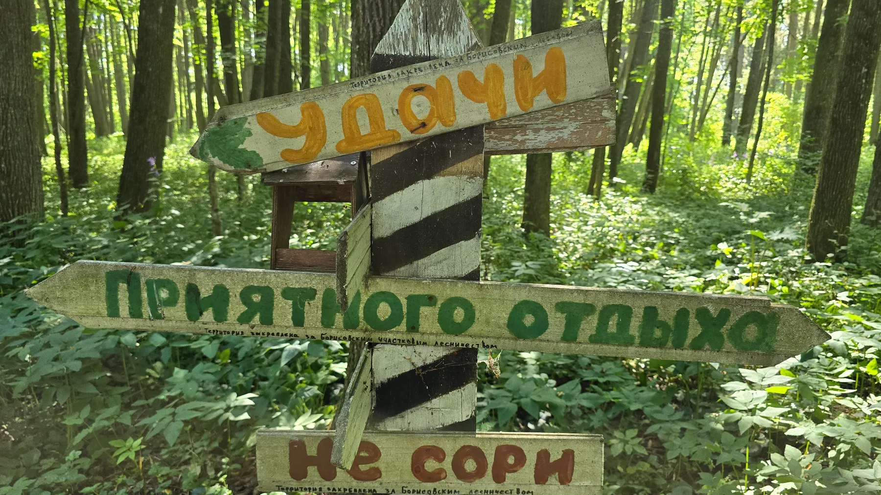 Фото: REGIONS/Яна Шаливская