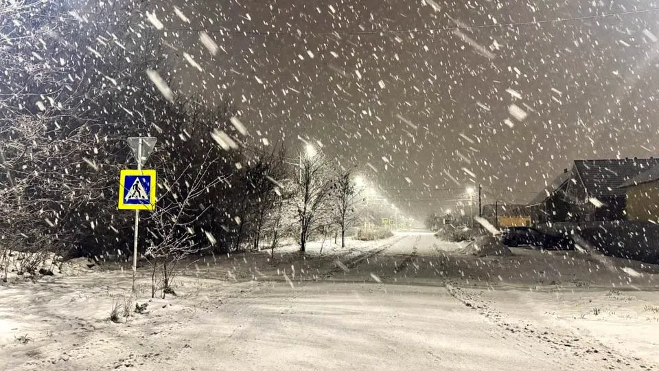 Фото: REGIONS/Евгения Макаренко