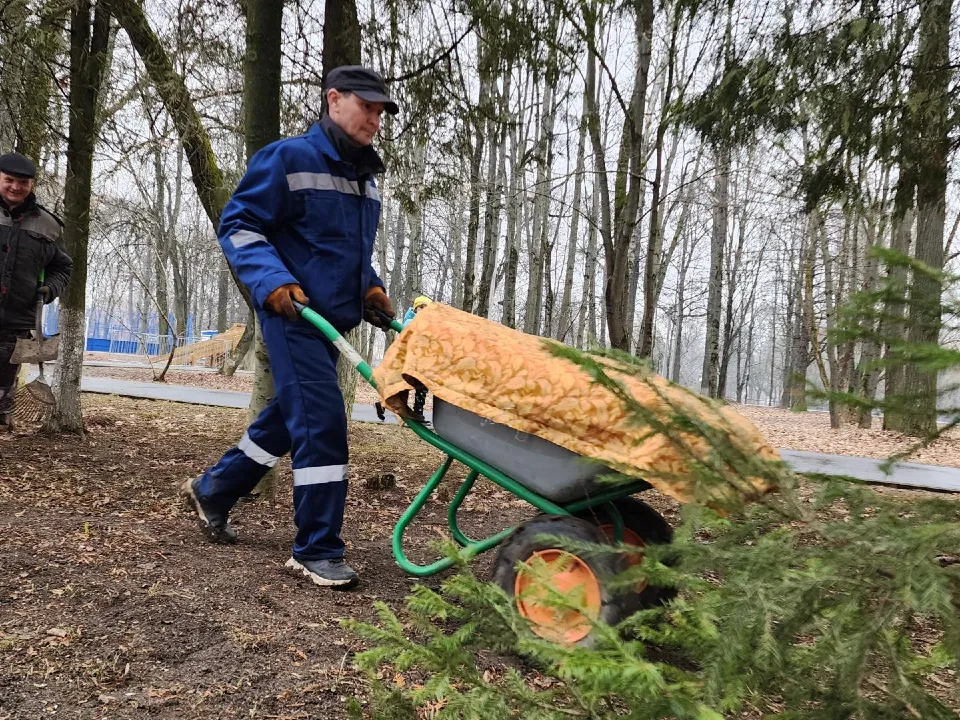 Фото: Анастасия Сараева