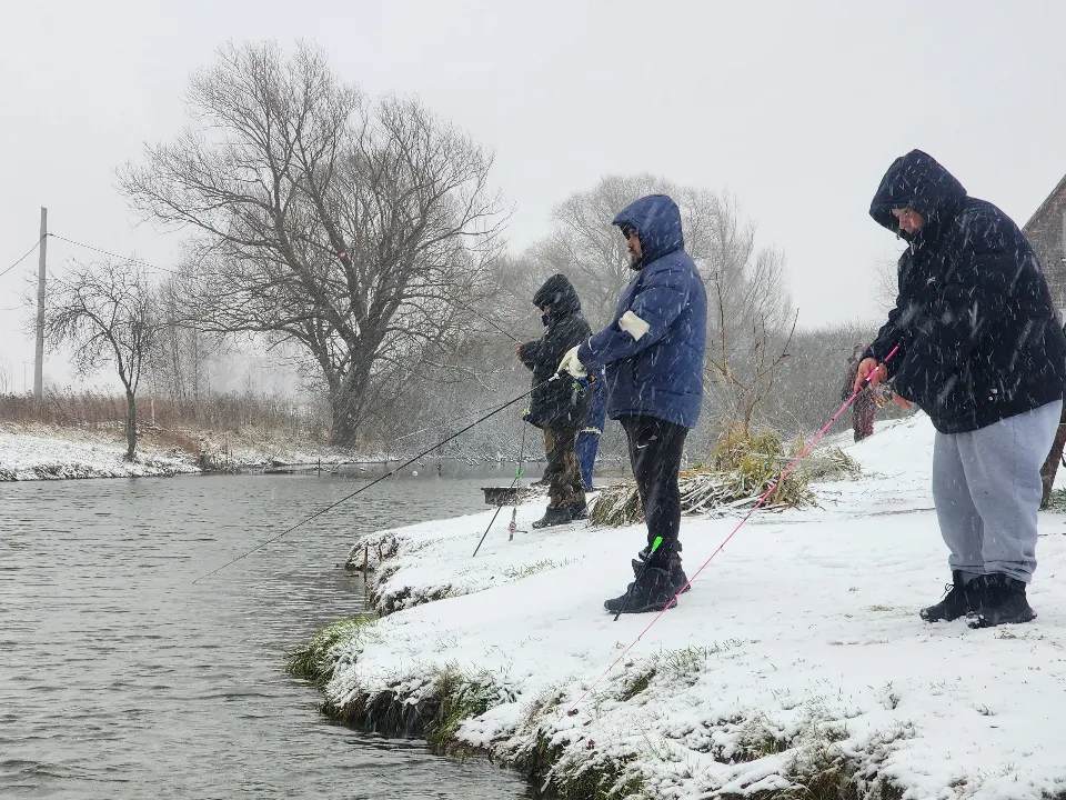 Фото: МедиаБанк Подмосковья/Марина Анисимова