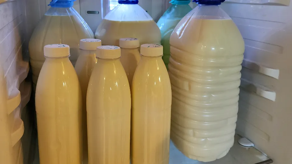 Фото: МедиаБанк Подмосковья/Никита Сморкалов