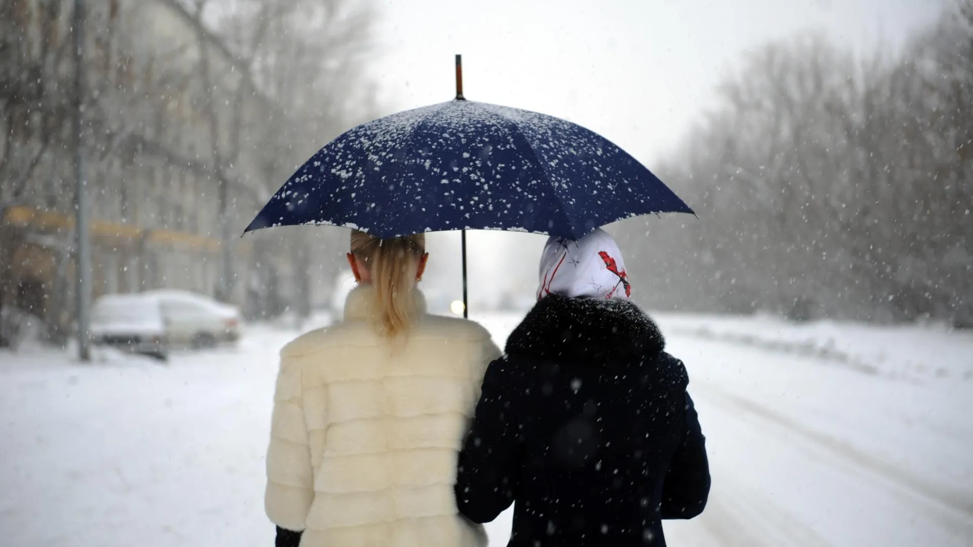 медиасток.рф