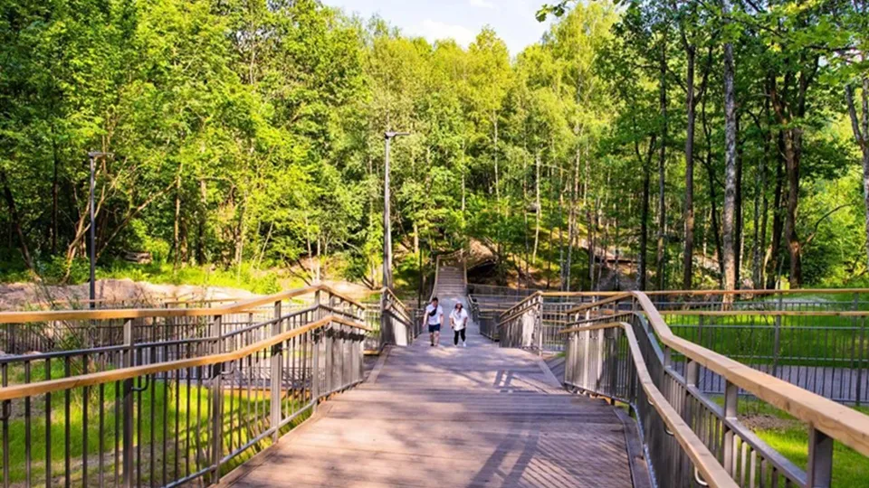 Фото: Министерство благоустройства Московской области