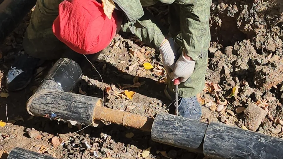 Фото: REGIONS/Александр Степушкин