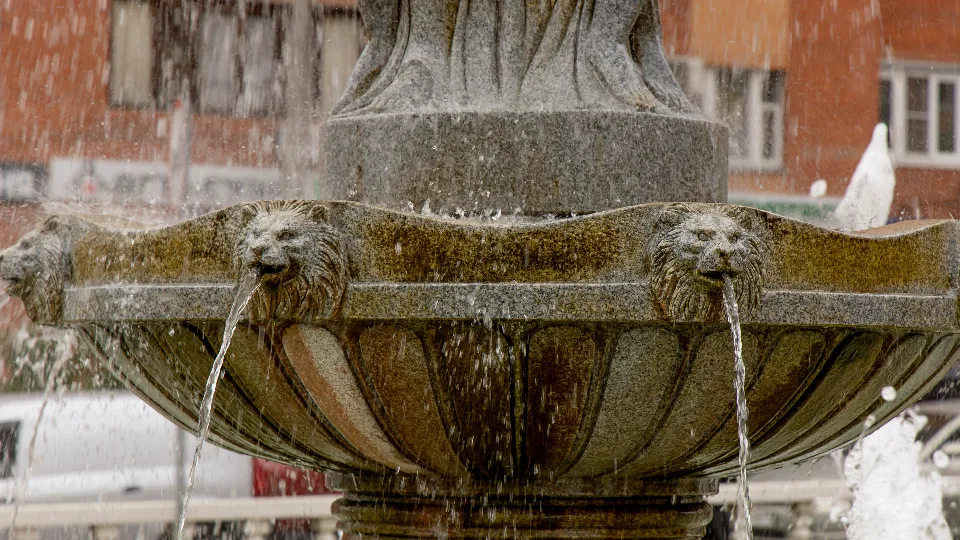 Фото: медиасток.рф