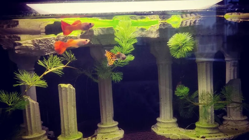 Фото: Министерство по содержанию территорий и государственному жилищному надзору МО