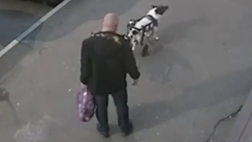 Фото: t.me/IrinaVolk_MVD