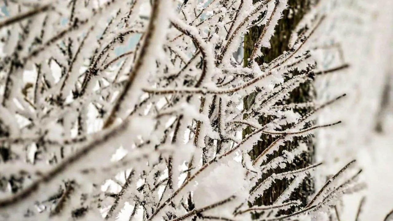 REGIONS/Роман Малышенко