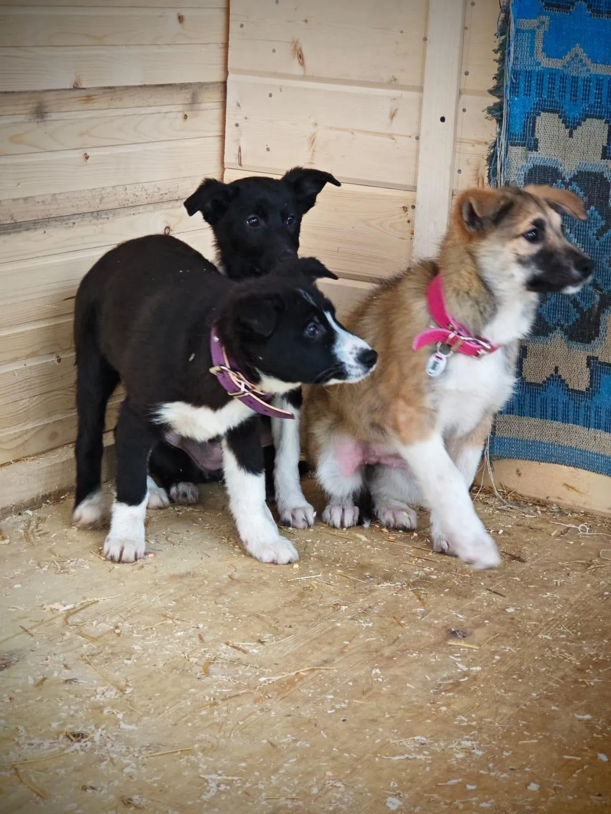 Фото: Подслушано на Глебовке (новая) / ВКонтакте