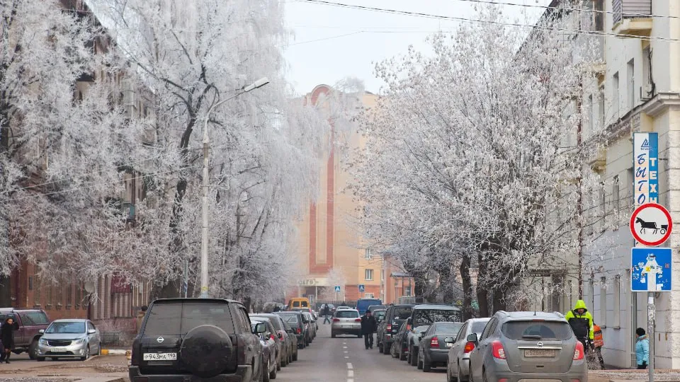 Фото: медиасток.рф