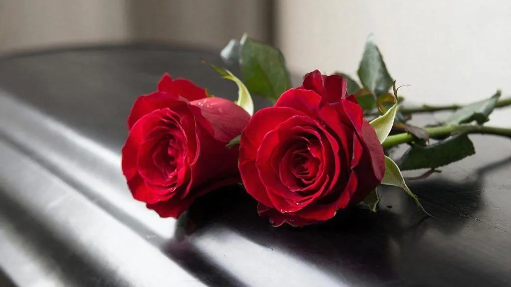 REGIONS/Сгенерировано нейросетью