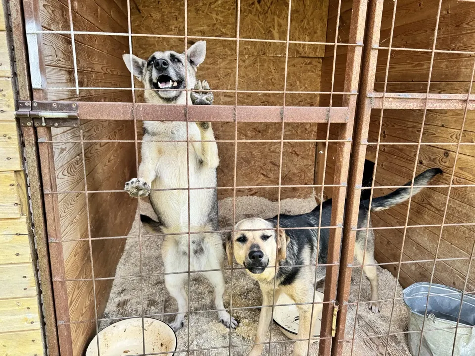 Фото: Татьяна Рунова