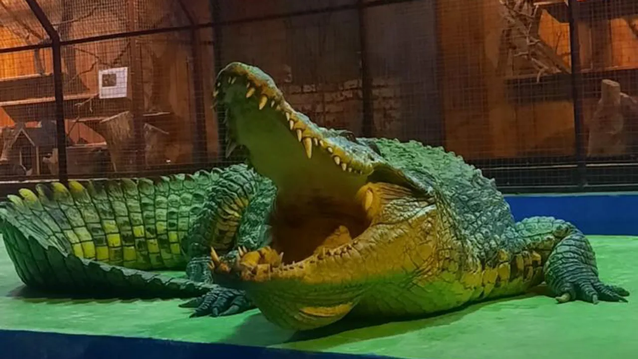 Фото: ЭкоДеревушка | Крокодиловая ферма