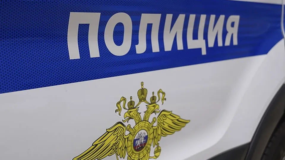 Фото: Полиция Московской области